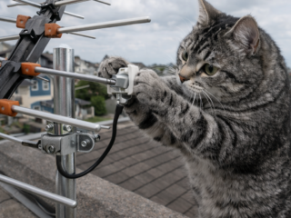 コンセントの交換 【彦根市】